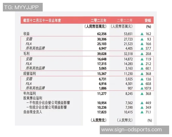 2023年全球体育用品品牌排名前十位的全面分析与市场趋势解读